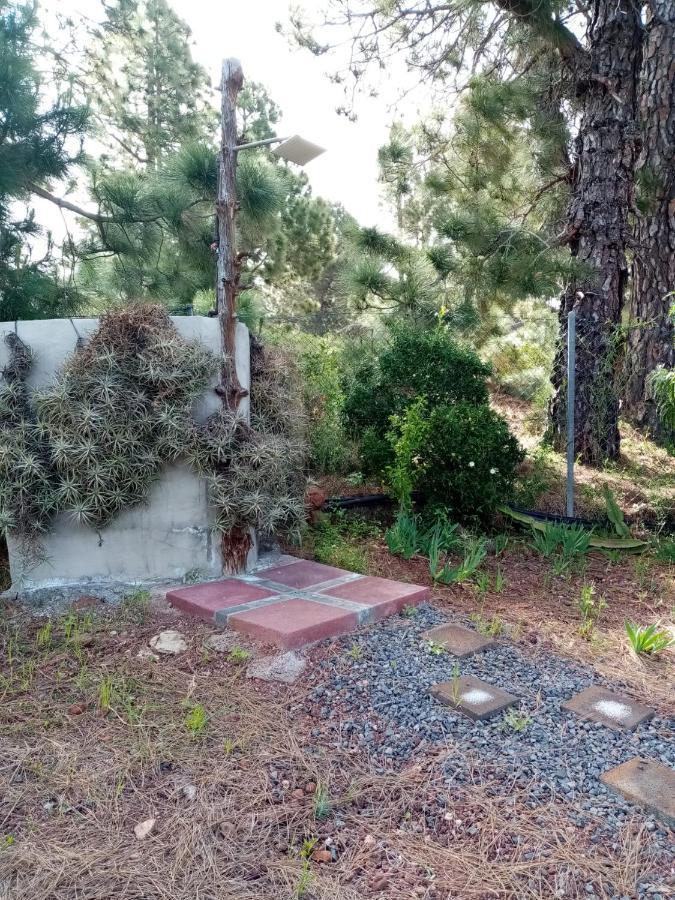 Casa Los Pinos - Sunset & Wifi Puntagorda Kültér fotó